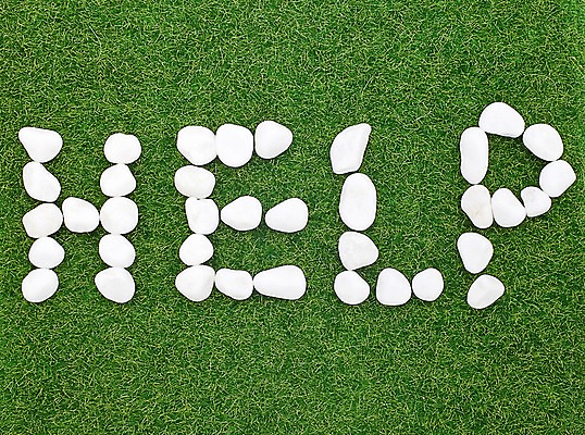 포토 스튜디오촬영 문자 알파벳 영어 대문자 실내 잔디 사람없음 단어 돌_바위 조약돌 도움 헬프 국내포토 식물 컨셉 내부 파일형식