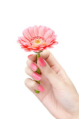 포토 JPG 스튜디오촬영 손 꽃 한송이 손가락 모션 한손 실내 손짓 신체부위 뷰티 주황색 네일아트 손톱 소국 국내포토 식물 1 컬러 사람 내부 송이 파일형식