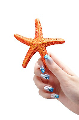 포토 JPG 스튜디오촬영 손 손가락 모션 불가사리 한손 실내 손짓 신체부위 뷰티 네일아트 손톱 오브젝트 국내포토 극피동물 사람 내부 파일형식