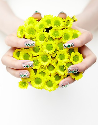 포토 JPG 스튜디오촬영 손 꽃 여러송이 손가락 모션 실내 손짓 신체부위 뷰티 노란색 양손 네일아트 손톱 소국 국내포토 식물 컬러 다수 사람 내부 파일형식