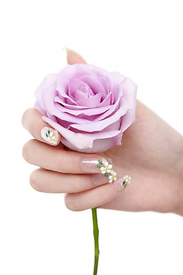 포토 JPG 스튜디오촬영 손 꽃 분홍색 한송이 손가락 모션 한손 실내 손짓 신체부위 뷰티 장미 네일아트 손톱 국내포토 식물 1 컬러 사람 내부 송이 파일형식