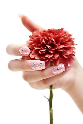포토 JPG 스튜디오촬영 손 꽃 한송이 손가락 모션 한손 실내 손짓 신체부위 빨간색 뷰티 네일아트 손톱 국내포토 식물 1 컬러 사람 내부 송이 파일형식