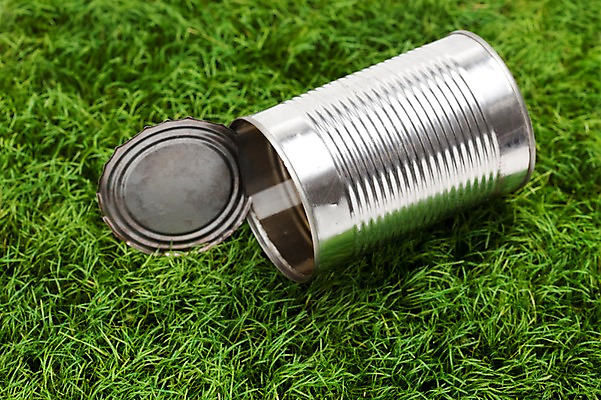 포토 JPG 스튜디오촬영 실내 잔디 초원 사람없음 자연보호 환경 그린캠페인 재활용 그린에너지 캔 사회이슈 환경보전 국내포토 식물 캠페인 컨셉 자연 내부 에너지 보호 친환경 파일형식