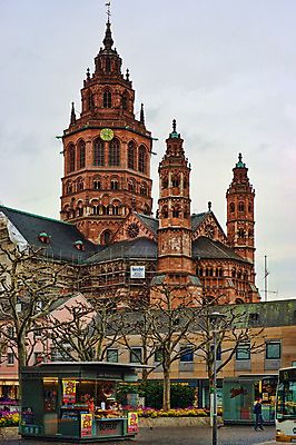 포토 JPG 나무 해외풍경 해외 유럽 나라 독일 풍경 야외 건물 관광지 세계 성당 상점 도시 보행자 가로수 대성당 마인츠 국내포토 식물 건축물 여행 종교건축 파일형식