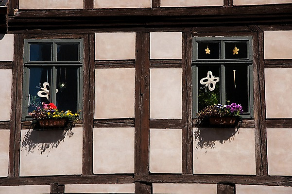 포토 JPG 해외풍경 해외 유럽 나라 화분 고건축 창문 독일 풍경 사람없음 야외 건물 관광지 세계 도시 국내포토 건축물 여행 파일형식