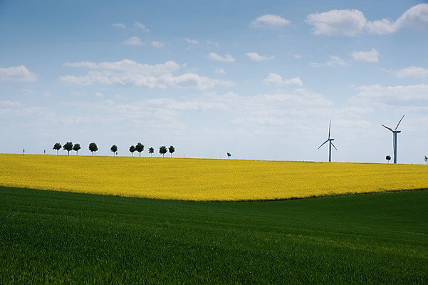 포토 JPG 나무 구름 해외풍경 해외 유럽 나라 하늘 독일 풍경 초원 사람없음 야외 관광지 세계 도시 풍력에너지 드레스덴 국내포토 자연요소 식물 여행 그린에너지 파일형식