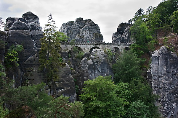 포토 JPG 나무 해외풍경 해외 유럽 나라 산 독일 풍경 사람없음 야외 관광지 세계 돌_바위 바위 도시 암벽 바스타이 가교 작센스위스 국내포토 식물 건축물 여행 파일형식