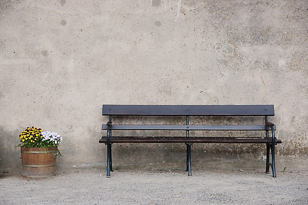 포토 JPG 해외풍경 해외 꽃 유럽 나라 화분 벽 벤치 독일 사람없음 야외 관광지 세계 도시 바스타이 국내포토 식물 여행 의자 풍경 파일형식