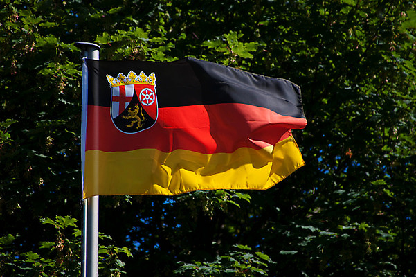 포토 JPG 나무 해외풍경 해외 유럽 나라 나뭇잎 독일 풍경 사람없음 야외 관광지 세계 깃발 도시 국기 독일국기 코블렌츠 국내포토 식물 여행 잎 파일형식