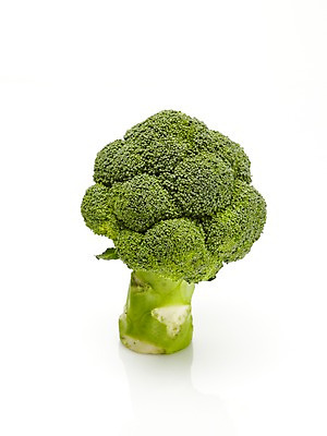 포토 JPG 스튜디오촬영 채소 실내 누끼 사람없음 초록색 브로콜리 컬러푸드 국내포토 컬러 내부 파일형식