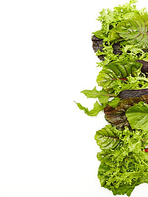 포토 JPG 스튜디오촬영 채소 실내 누끼 사람없음 초록색 컬러푸드 모듬야채 쌈채소 국내포토 컬러 내부 파일형식