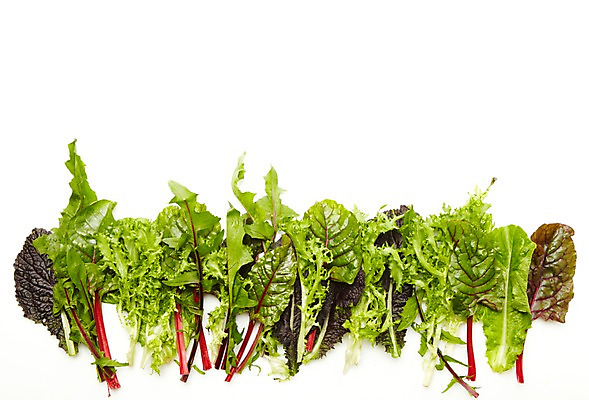 포토 JPG 스튜디오촬영 채소 실내 누끼 사람없음 초록색 상추 컬러푸드 모듬야채 쌈채소 국내포토 컬러 내부 파일형식