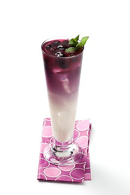 포토 JPG 스튜디오촬영 음료 조각 한잔 실내 사람없음 주스 천 컵받침 헝겊 블루베리라떼 국내포토 1 내부 직물 받침대 라떼 파일형식 천_직물