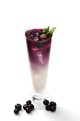 포토 JPG 스튜디오촬영 열매 음료 음식 과일 잔 한잔 실내 사람없음 보라색 블루베리 블루베리라떼 국내포토 식물 1 식기 컬러 내부 라떼 파일형식