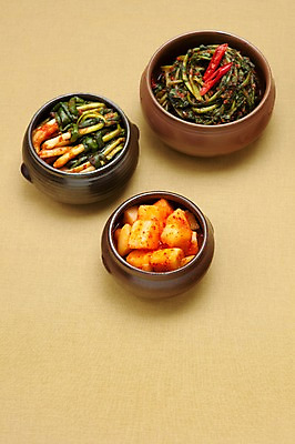 포토 JPG 스튜디오촬영 한식 반찬 김치 실내 종류 사람없음 다양 전통음식 깍두기 발효 발효음식 파김치 열무김치 국내포토 전통 음식 다수 내부 파일형식