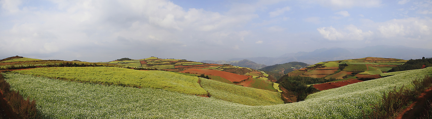 JPG 구름 밭 하늘 파노라마 풍경 사람없음 야외 중국 숲 상쾌 계단식 운남 홍토지 자연요소 감정 아시아 농업 촬영기법 땅 파일형식