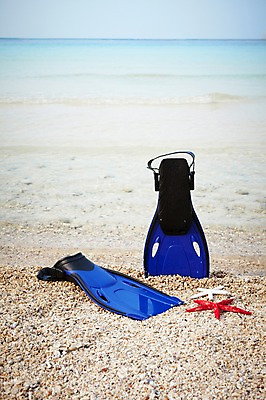 포토 JPG 사계절 계절 바다 섬 불가사리 풍경 해변 사람없음 야외 여름 오리발 오브젝트 무인도 한켤레 국내포토 1 극피동물 파일형식