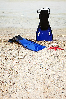 포토 JPG 사계절 계절 바다 섬 불가사리 풍경 해변 사람없음 야외 여름 오리발 오브젝트 무인도 한켤레 국내포토 1 극피동물 파일형식