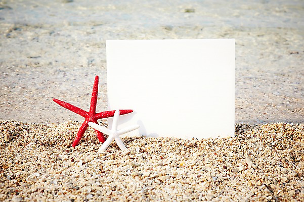 포토 JPG 배너 사계절 계절 바다 섬 불가사리 사각프레임 프레임 풍경 해변 사람없음 야외 여름 모래사장 오브젝트 무인도 국내포토 극피동물 사각형 파일형식