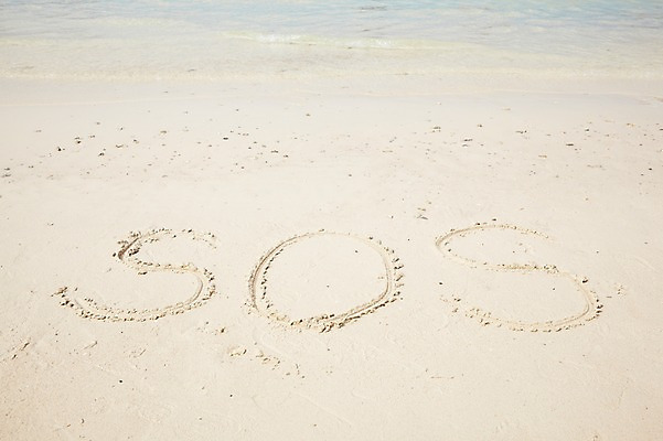 포토 JPG 문자 알파벳 사계절 계절 바다 풍경 해변 사람없음 야외 여름 모래사장 도움 요청 sos 국내포토 영어 컨셉 구조요청 파일형식