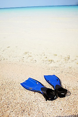 포토 JPG 사계절 계절 바다 섬 풍경 해변 사람없음 야외 여름 오리발 오브젝트 무인도 한켤레 국내포토 1 파일형식