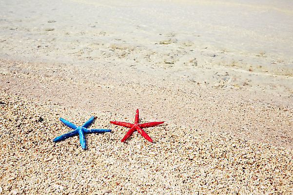 포토 JPG 사계절 계절 바다 섬 불가사리 풍경 해변 사람없음 야외 여름 오브젝트 무인도 국내포토 극피동물 파일형식