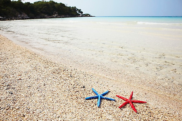 포토 JPG 사계절 계절 바다 섬 불가사리 풍경 해변 사람없음 야외 여름 오브젝트 무인도 국내포토 극피동물 파일형식