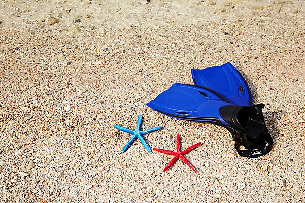 포토 JPG 사계절 계절 바다 섬 불가사리 풍경 해변 사람없음 야외 여름 오리발 오브젝트 무인도 한켤레 국내포토 1 극피동물 파일형식