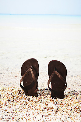 포토 JPG 사계절 계절 바다 섬 신발 슬리퍼 풍경 해변 사람없음 야외 여름 오브젝트 무인도 한켤레 국내포토 1 파일형식