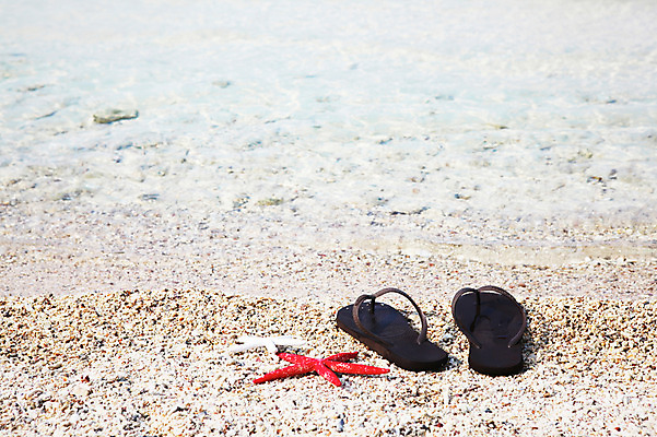 포토 JPG 사계절 계절 바다 섬 신발 불가사리 슬리퍼 풍경 해변 사람없음 야외 여름 오브젝트 무인도 한켤레 국내포토 1 극피동물 파일형식