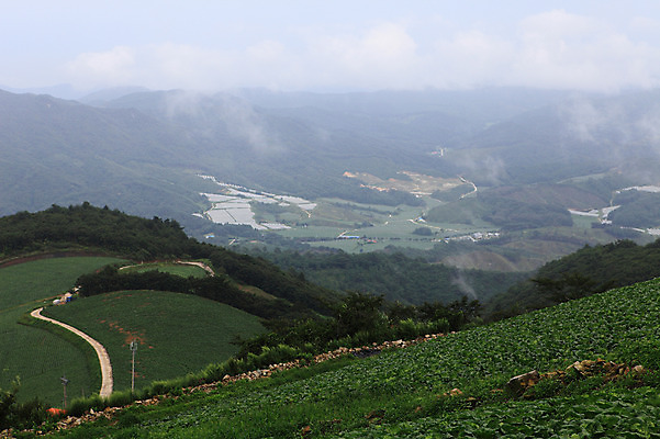 포토 JPG 주간 구름 길 밭 산 한국 풍경 사람없음 야외 시골 강원도 강릉 배추밭 안만덕 국내포토 자연요소 아시아 농업 파일형식