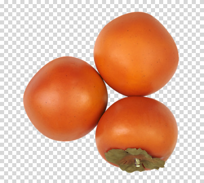 편집 편집이미지 계절 열매 음식 컬러 과일 감 사람없음 농작물 주황색 가을 세개 PNG 편집소스 식물 농업 3 파일형식