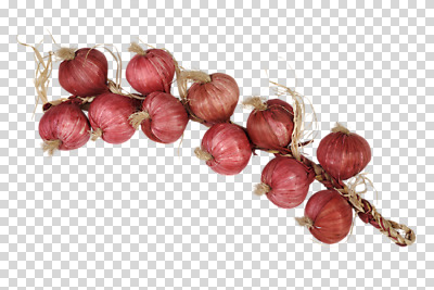 편집 편집이미지 분홍색 컬러 채소 마늘 사람없음 장식 모형 여러개 미니어처 묶기 오브젝트 PNG 새끼줄 편집소스 줄 다수 모션 파일형식