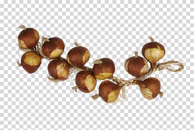 편집 편집이미지 컬러 채소 양파 사람없음 장식 갈색 모형 여러개 미니어처 묶기 오브젝트 PNG 새끼줄 편집소스 줄 다수 모션 파일형식