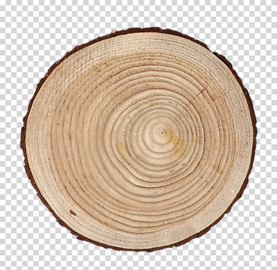 식물 편집 편집이미지 무늬 단면 프레임 사람없음 목재 하이앵글 원형 자르기 오브젝트 나이테 PNG 편집소스 도형 나무 뷰포인트 재료 모션 파일형식