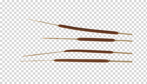 식물 편집 편집이미지 계절 컬러 사람없음 갈색 가을 오브젝트 PNG 부들 편집소스 파일형식