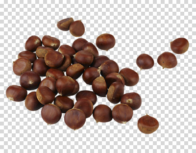 스튜디오촬영 편집 편집이미지 열매 음식 컬러 실내 사람없음 하이앵글 갈색 여러개 견과류 밤 PNG 편집소스 식물 뷰포인트 다수 내부 파일형식
