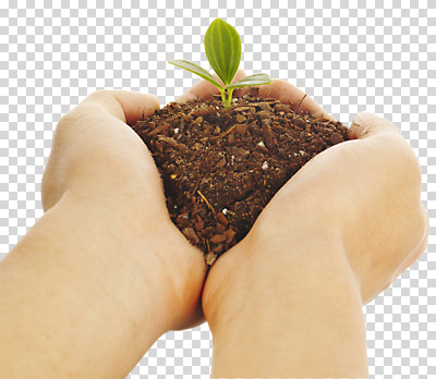 스튜디오촬영 식물 편집 편집이미지 손 화분 컬러 잎 실내 한명 들기 손짓 신체부위 새싹 흙 양손 손모으기 발아 PNG 편집소스 1 모션 사람 내부 파일형식