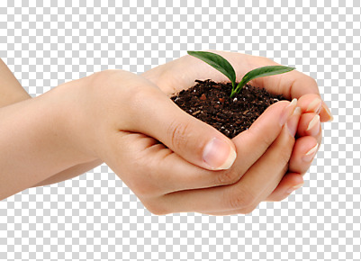 스튜디오촬영 식물 편집 편집이미지 손 여자 화분 컬러 손가락 실내 한명 들기 손짓 신체부위 새싹 흙 양손 손톱 손모으기 팔 발아 PNG 편집소스 1 모션 사람 내부 파일형식