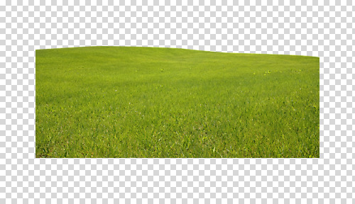 주간 식물 편집 편집이미지 파노라마 풍경 초원 사람없음 야외 초록색 목초지 들풀 PNG 편집소스 자연요소 컬러 촬영기법 목장 파일형식 초원_자연