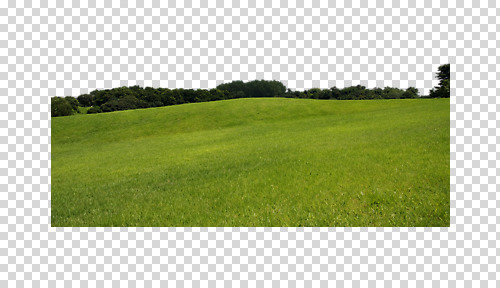 주간 나무 식물 편집 편집이미지 파노라마 풍경 초원 사람없음 야외 초록색 목초지 들풀 PNG 편집소스 자연요소 컬러 촬영기법 목장 파일형식 초원_자연