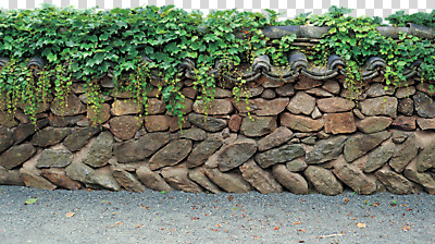 주간 식물 편집 편집이미지 벽 돌담 기와 사람없음 야외 담장 덩굴 기와지붕 벽돌담 PNG 편집소스 자연요소 지붕 벽돌 돌_바위 파일형식