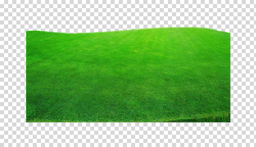 편집 편집이미지 골프장 잔디 사람없음 초록색 인조잔디 PNG 페어웨이 편집소스 식물 컬러 골프 스포츠시설 파일형식