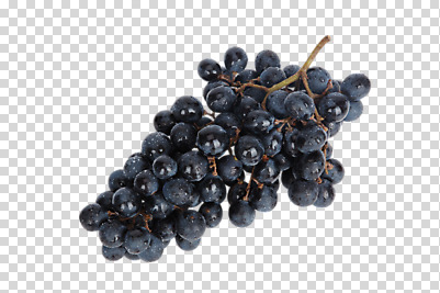 편집 편집이미지 음식 과일 포도 사람없음 포도송이 PNG 편집소스 파일형식