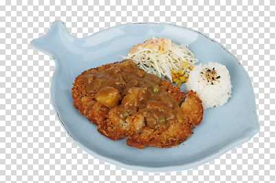 편집 편집이미지 그릇 접시 음식 밥 사람없음 샐러드 돈가스 PNG 편집소스 식기 커틀릿 파일형식