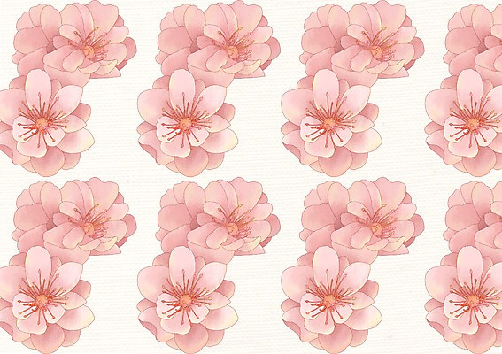 PSD 꽃 분홍색 백그라운드 무늬 꽃무늬 패턴 꽃백그라운드 일러스트 국내일러스트 식물 컬러 파일형식