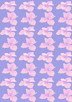 PSD 꽃 분홍색 백그라운드 무늬 꽃무늬 패턴 꽃백그라운드 일러스트 사람없음 국내일러스트 식물 컬러 파일형식