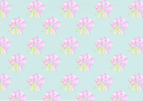 PSD 꽃 분홍색 백그라운드 무늬 꽃무늬 패턴 꽃백그라운드 일러스트 사람없음 국내일러스트 식물 컬러 파일형식