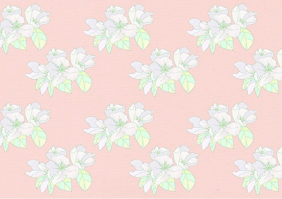 PSD 꽃 분홍색 백그라운드 무늬 꽃무늬 패턴 꽃백그라운드 일러스트 사람없음 흰색 국내일러스트 식물 컬러 파일형식