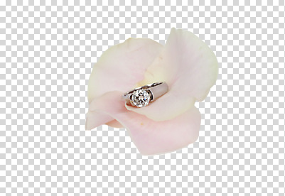 식물 편집 편집이미지 기념일 꽃 컬러 한송이 장신구 선물 이벤트 사람없음 세로 한개 반지 오브젝트 이벤트용품 큐빅 PNG 보석반지 은반지 편집소스 1 광석 보석 송이 파일형식